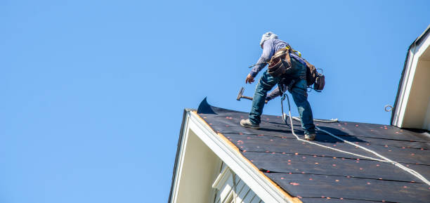 Roof Gutter Cleaning in Lockport, IL